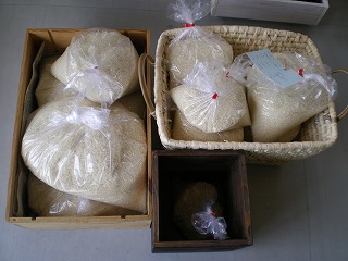 imgp0917.jpg